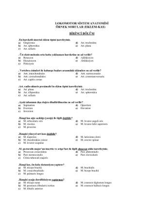 Lokomotor Sistem Anatomisi Örnek Sınav Soruları